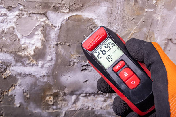 Best Attic Mold Removal  in Kent Estates, IA